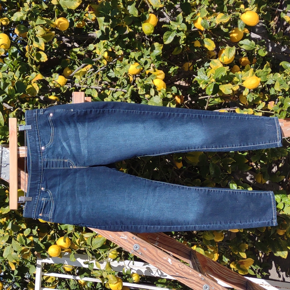Levi Signature Totally Shaping Pull-On Skinny Jeans 16